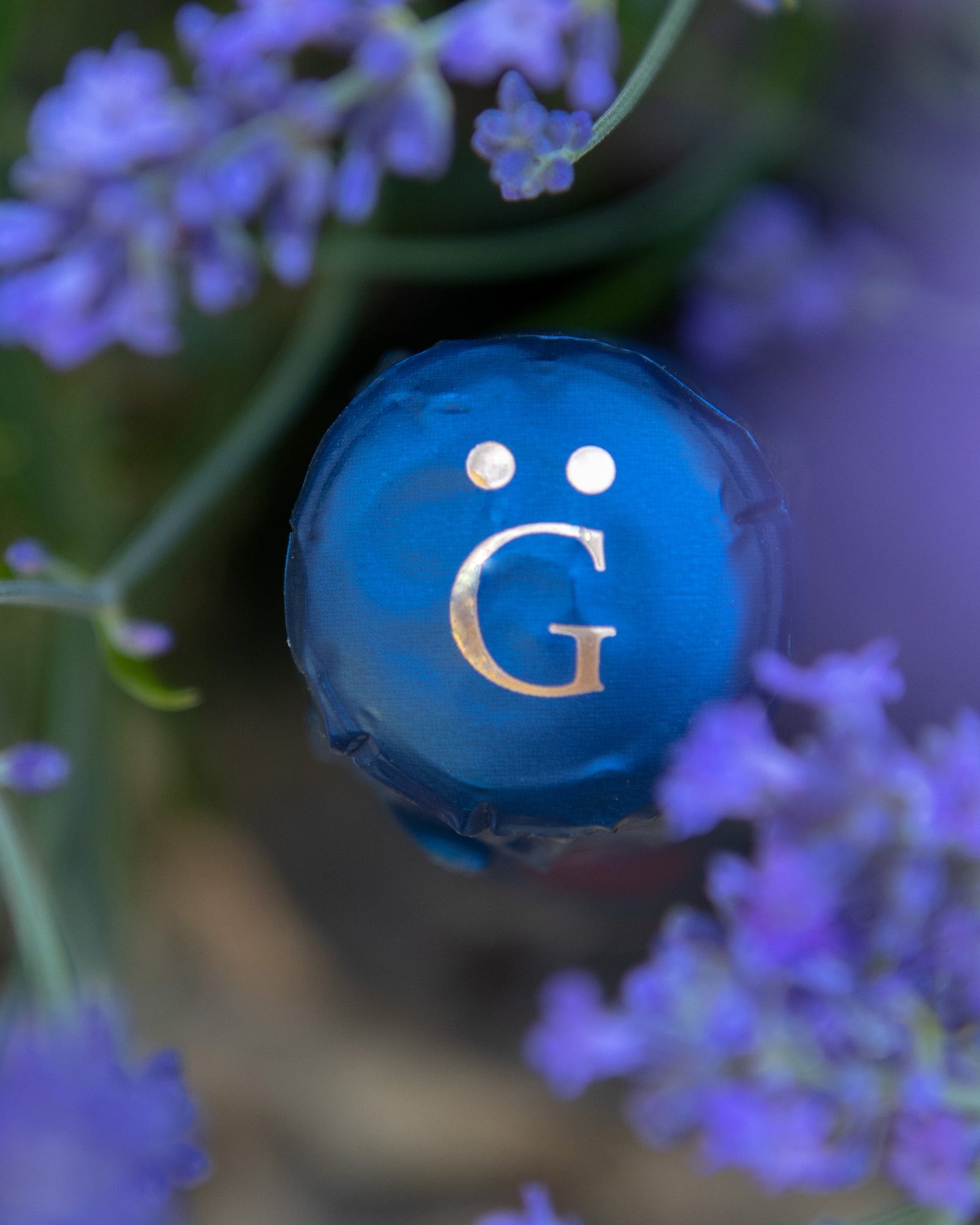 Henri Giraud Champagner Hommage au Pinot Noir