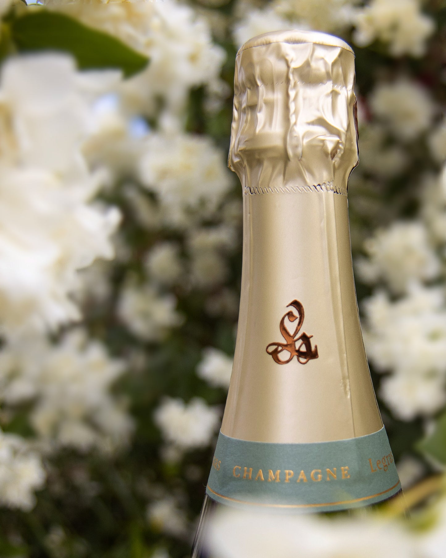 Legras et Haas Brut Champagner