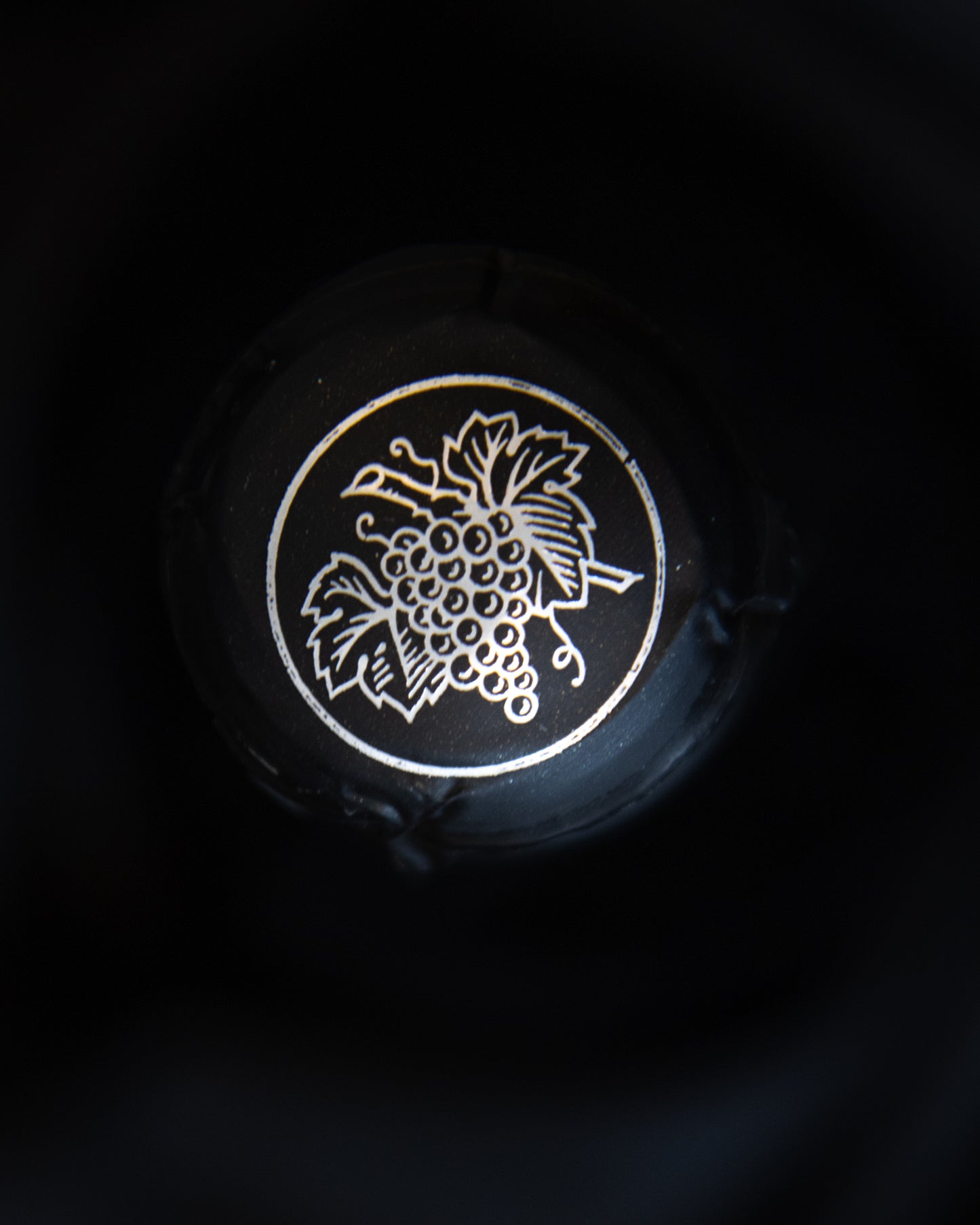 Petit et Bajan Champagne