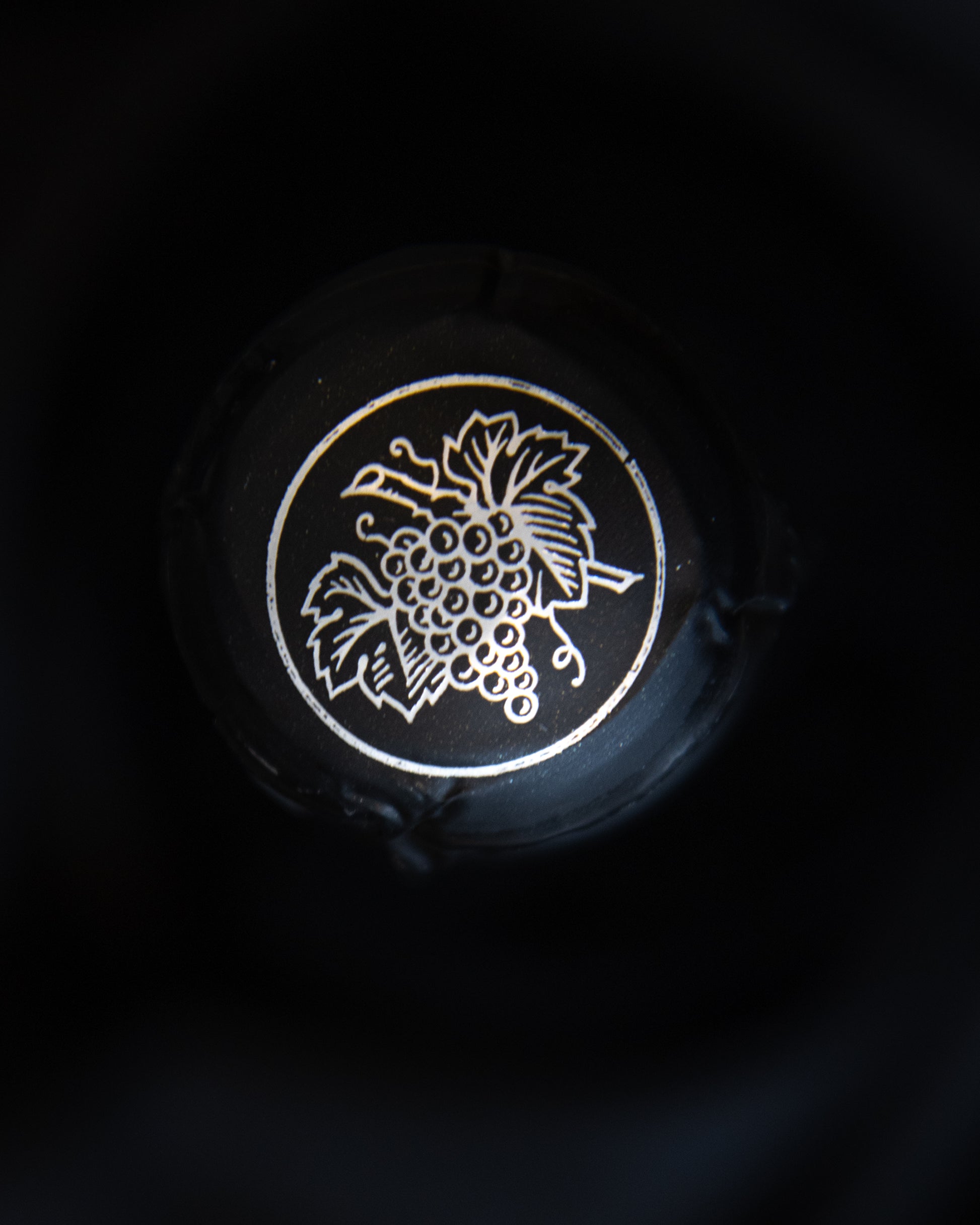 Petit et Bajan Champagne